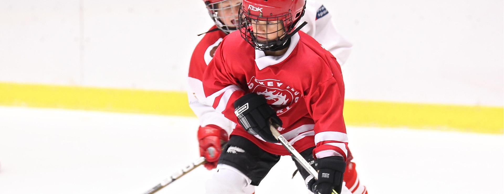 Hockey Equipment Store -Hockey Equipment Store hockey 2274221 1920